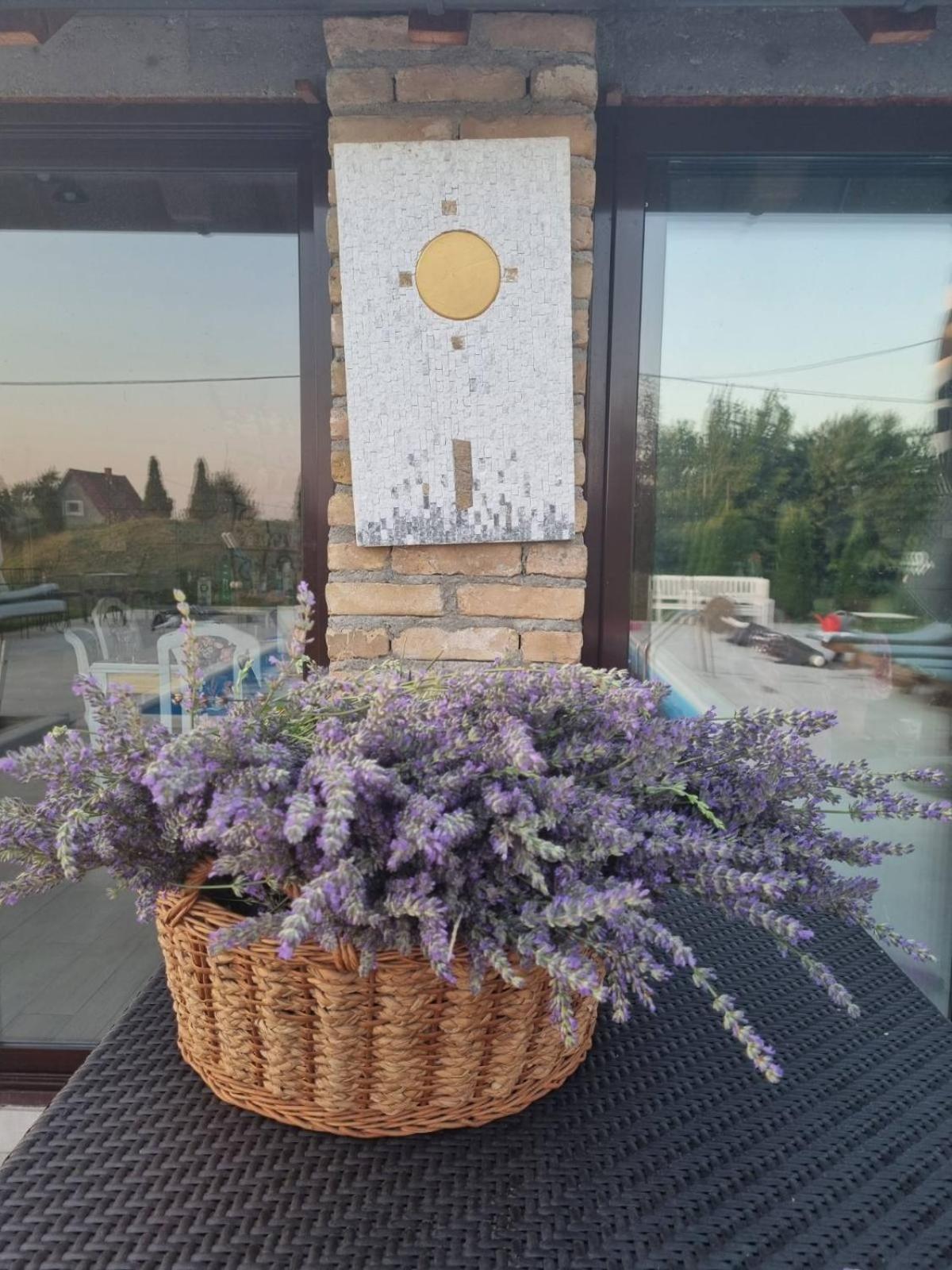 Imanje Sa Bazenom